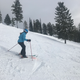 Illustration for article titled 2019-2020 Ski Season in Review